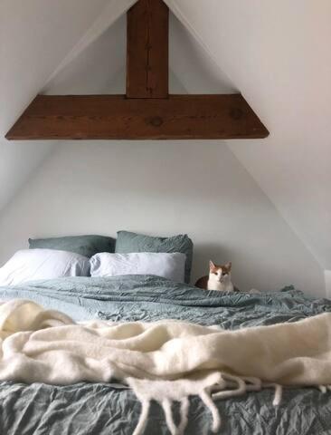 Beautiful Cosy Apartments In The Heart Of 안트베르펜 외부 사진